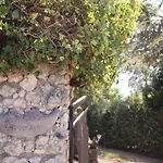 Il Nuvoloso *
